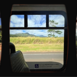 Daily Destinations on The Kaua‘i Bus – One Rider’s Testament